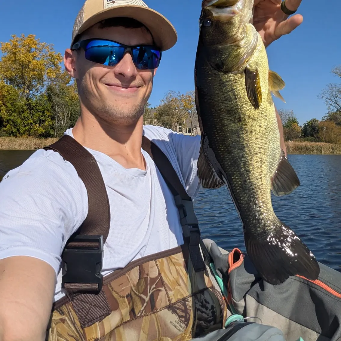 Largemouth bass caught on Fishbrain