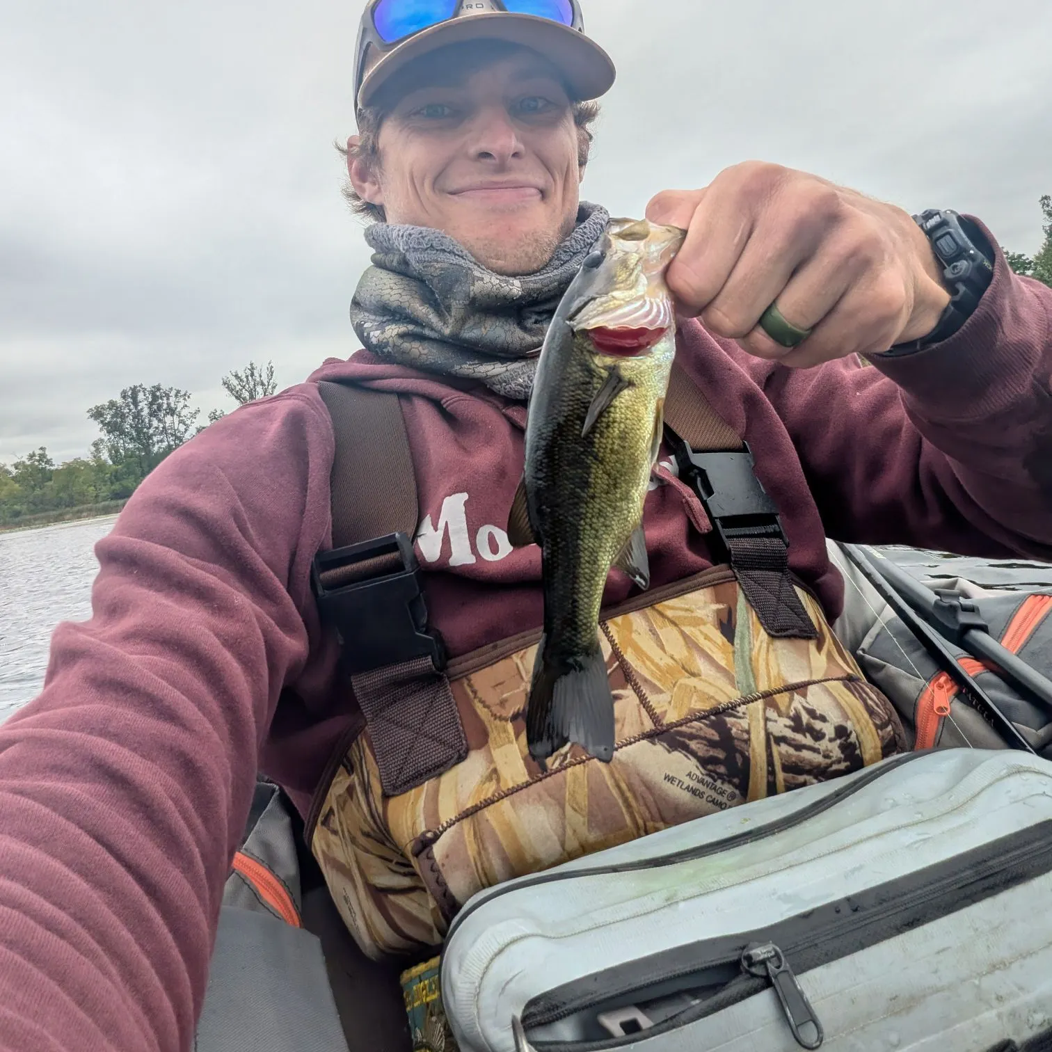 Largemouth bass caught on Fishbrain