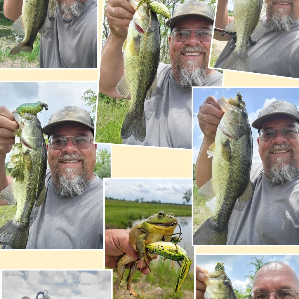 angler catch