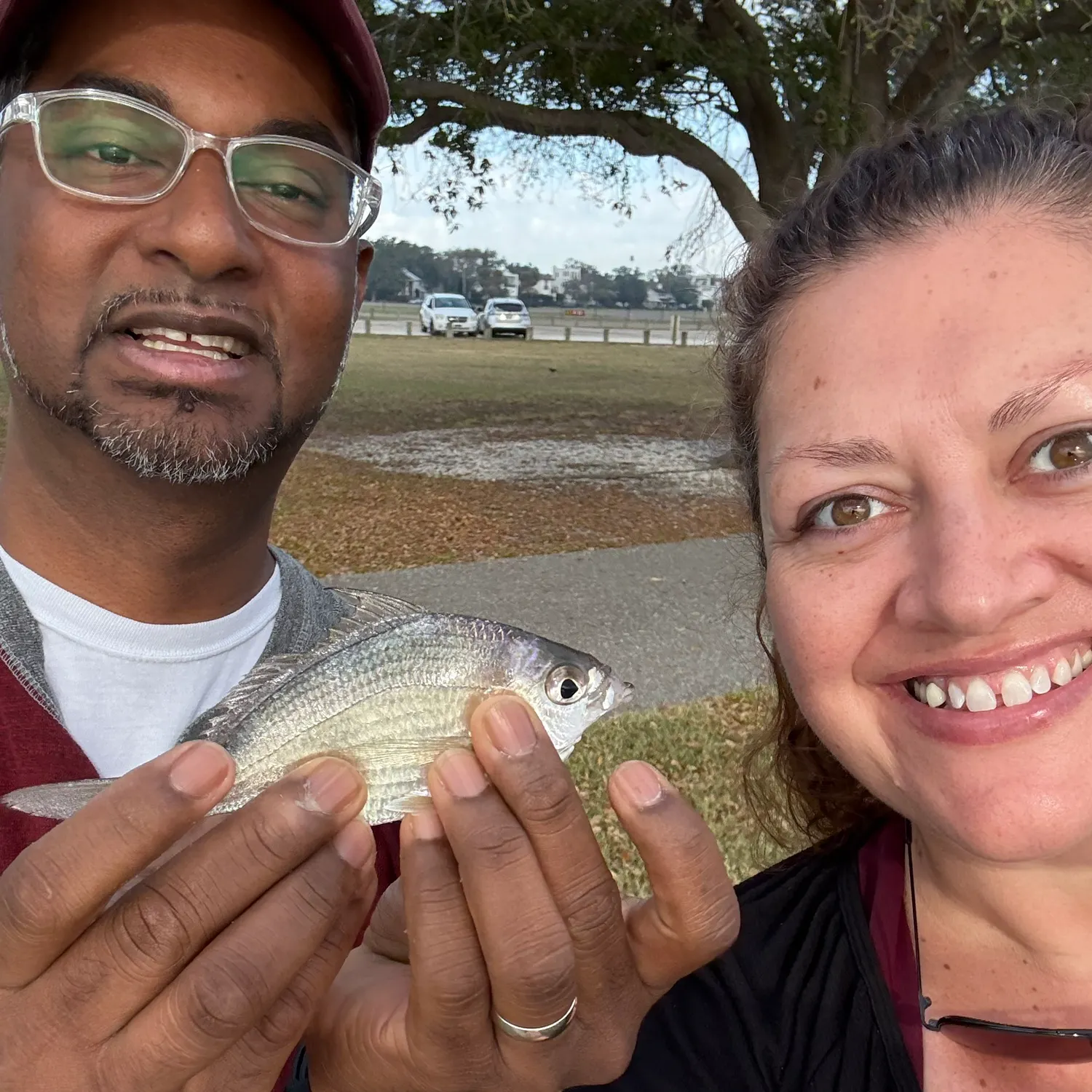 The most recent Atlantic spotfin mojarra catches on Fishbrain