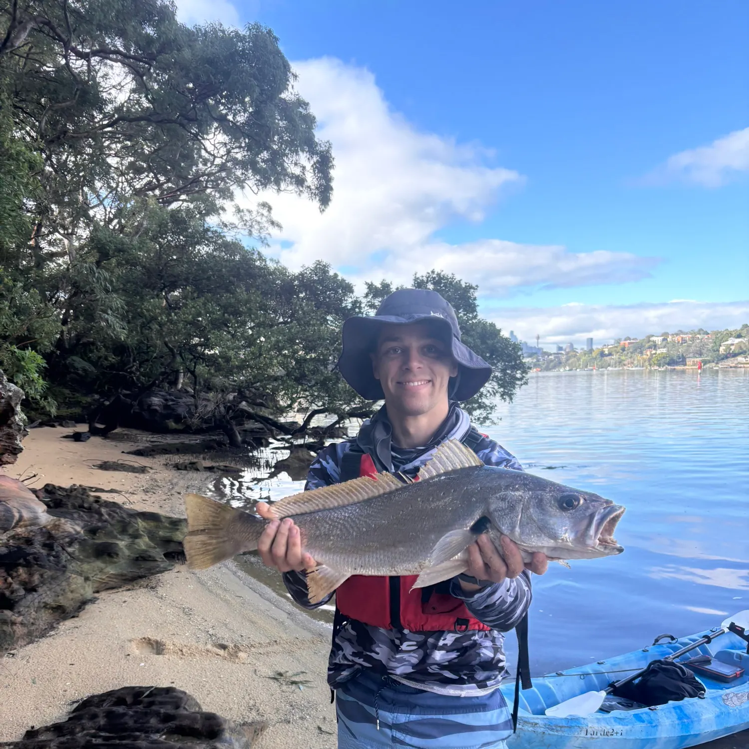 The most recent Japanese meagre catches on Fishbrain