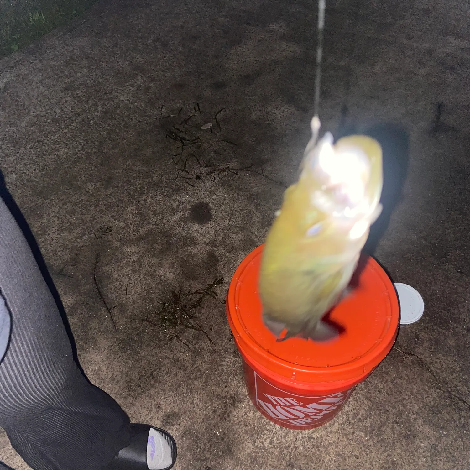 catch