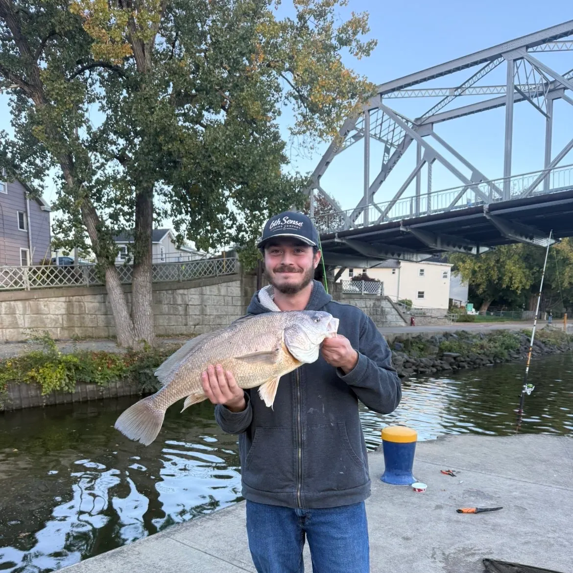 The most recent Freshwater drum catches on Fishbrain