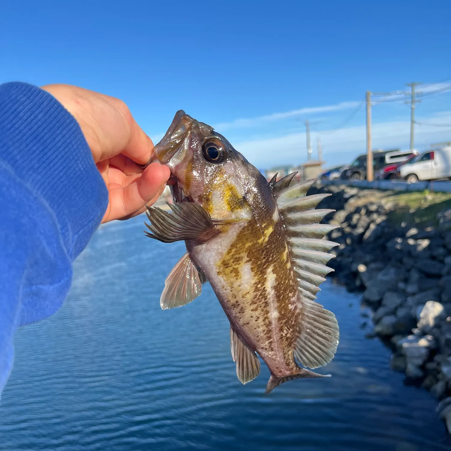 catch