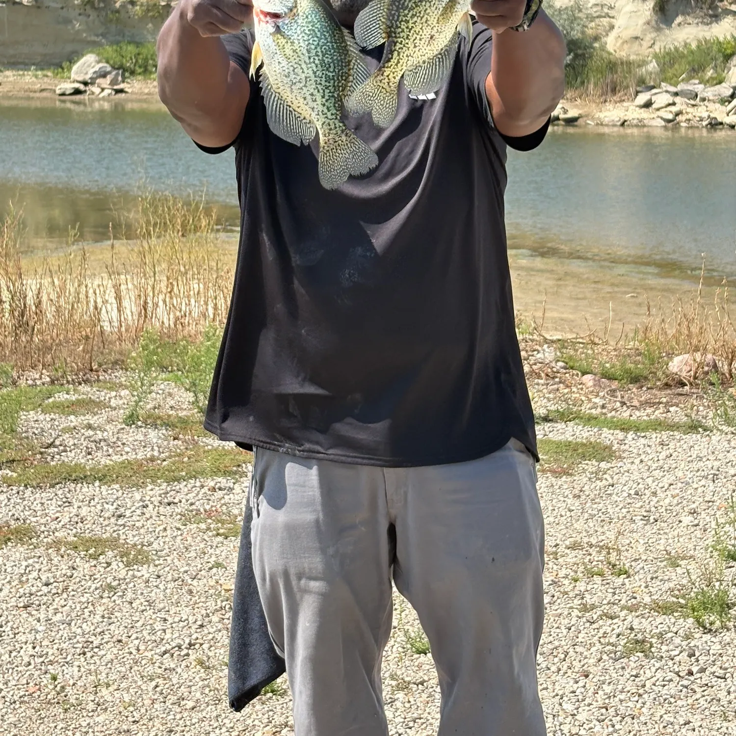Black crappie caught on Fishbrain