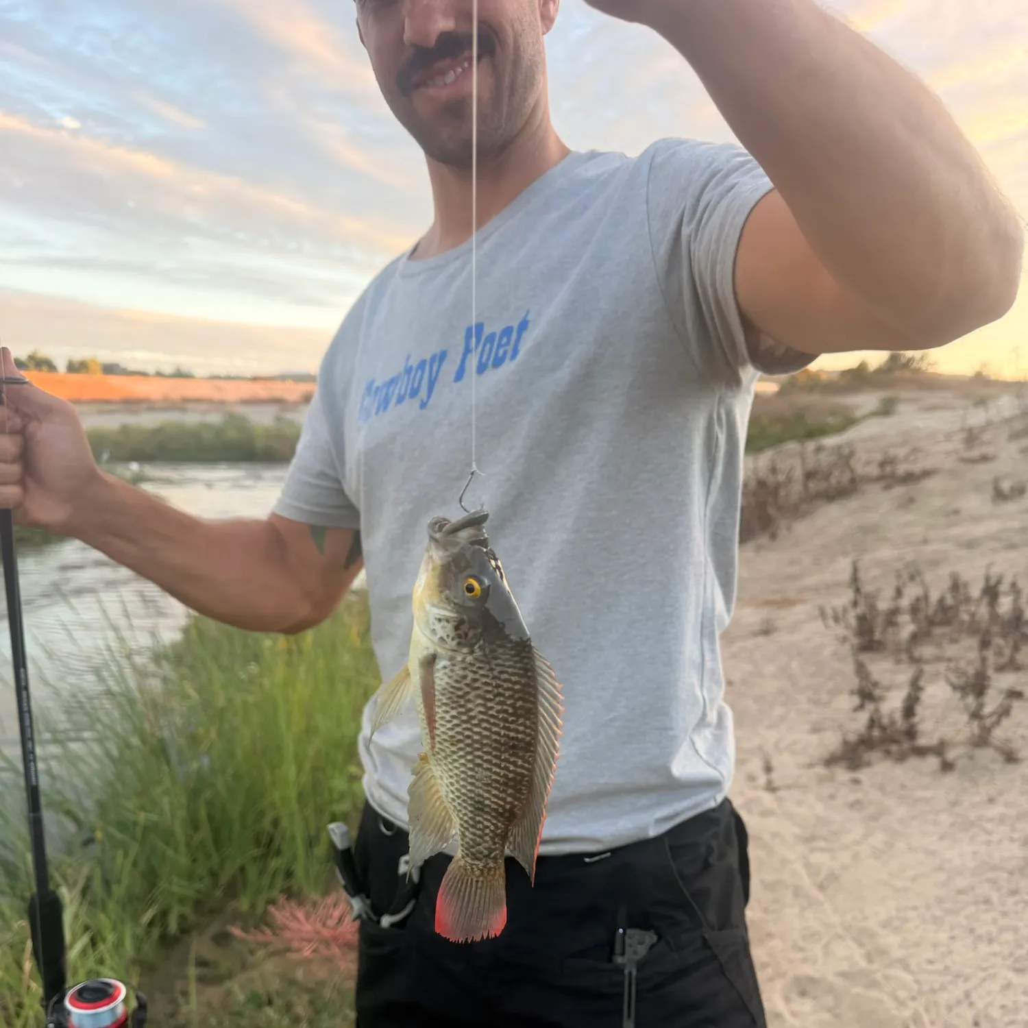 Redbelly tilapia caught on Fishbrain