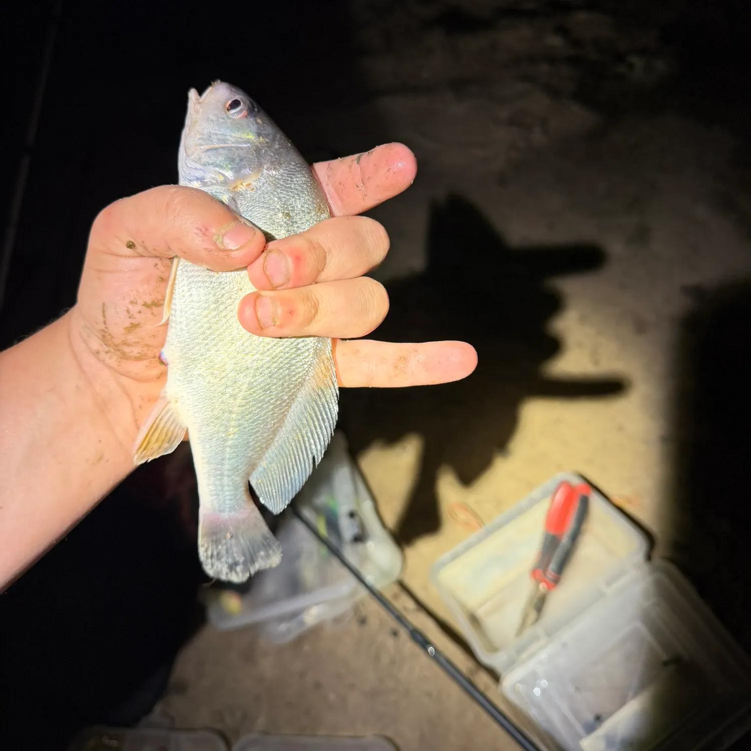 catch