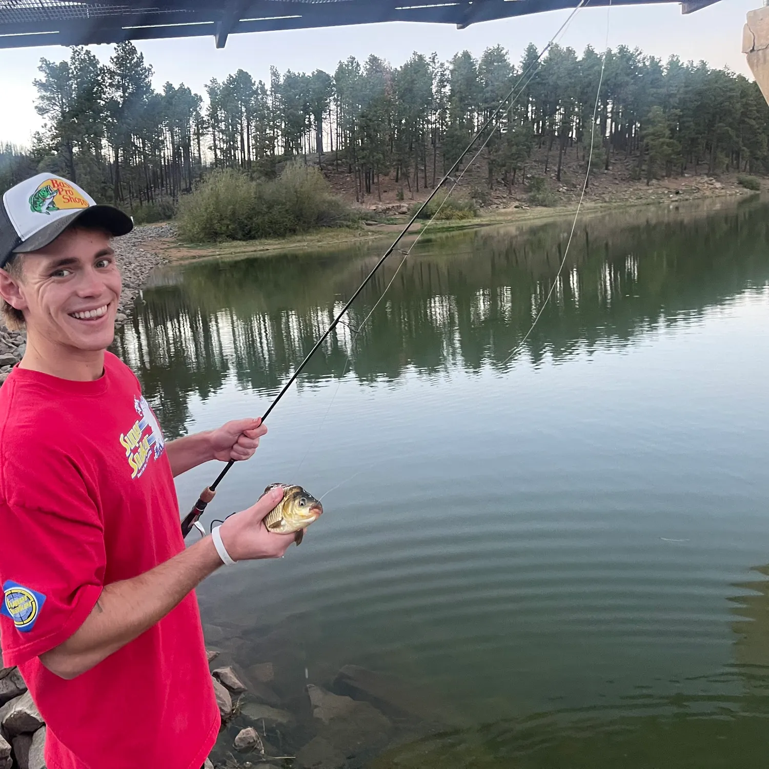 Goldfish caught on Fishbrain