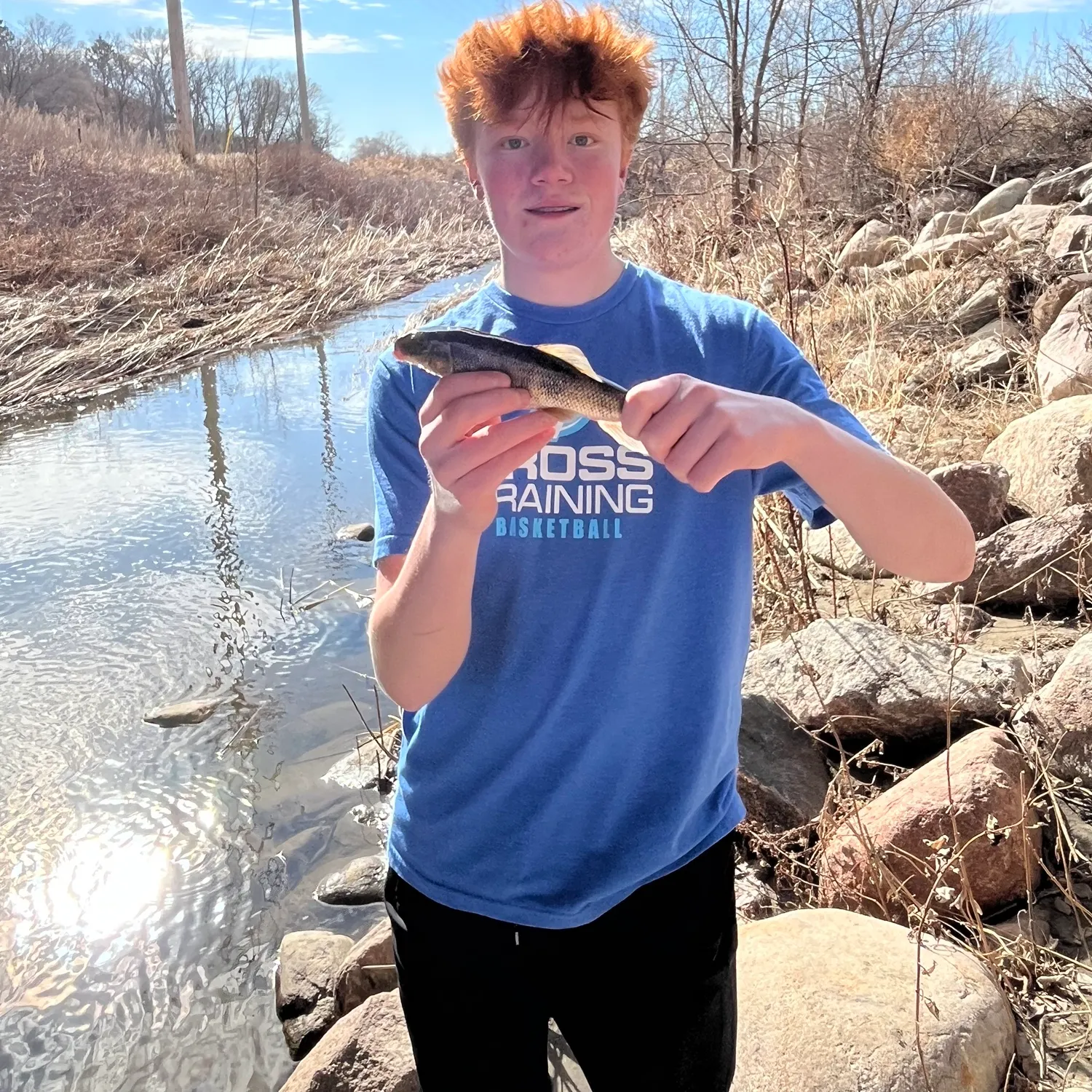 The most recent Northern hogsucker catches on Fishbrain