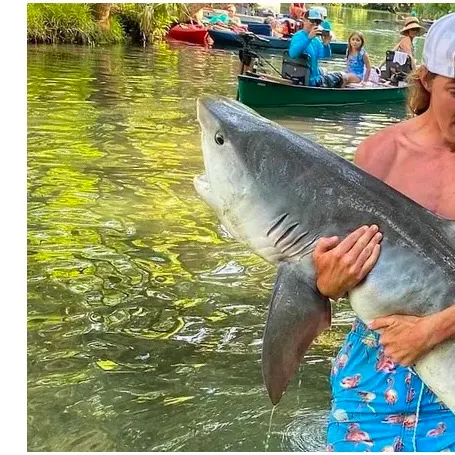 The most recent Paddlefish catches on Fishbrain