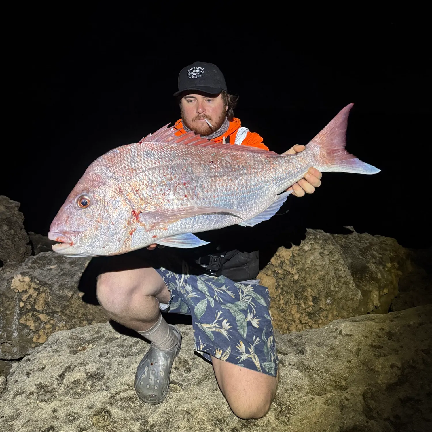 The most recent Australasian snapper catches on Fishbrain