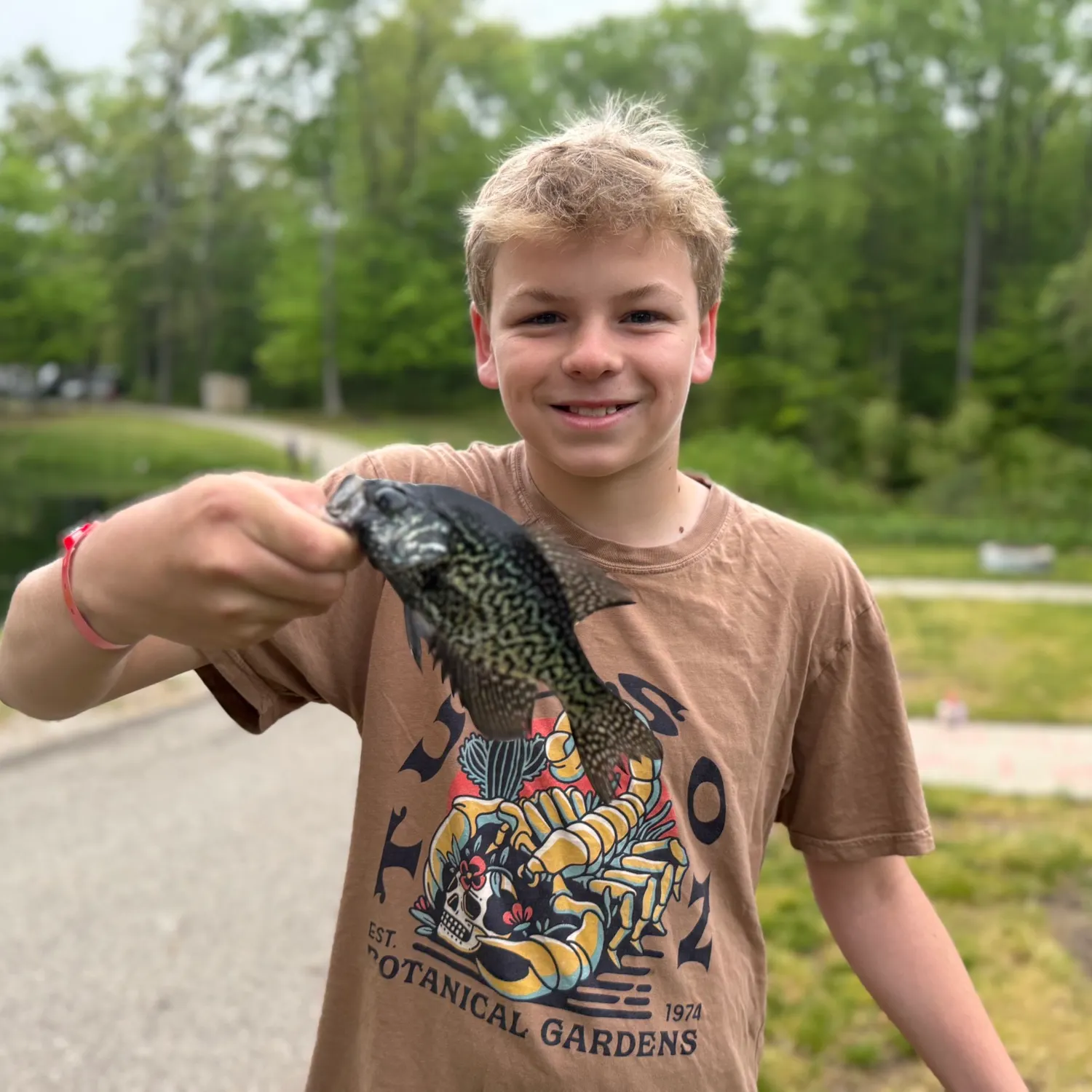 Black crappie caught on Fishbrain