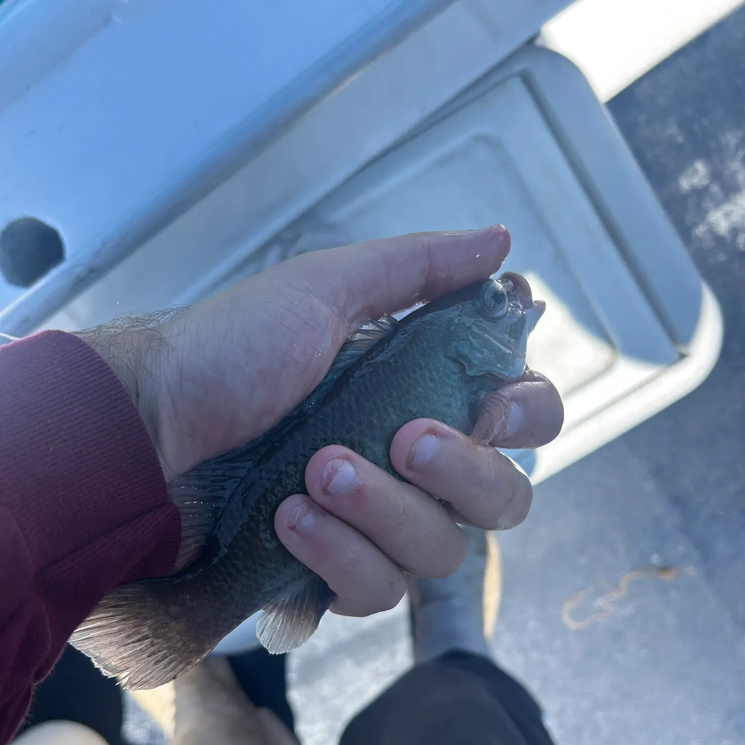catch