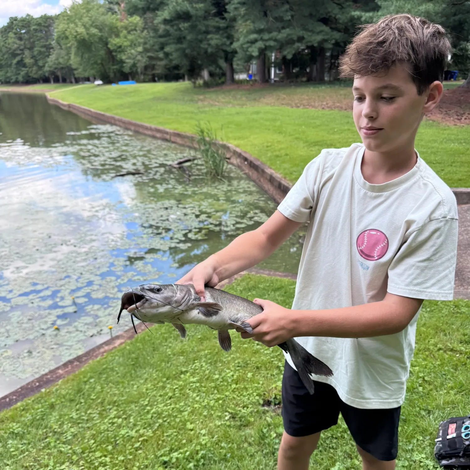 Channel catfish caught on Fishbrain