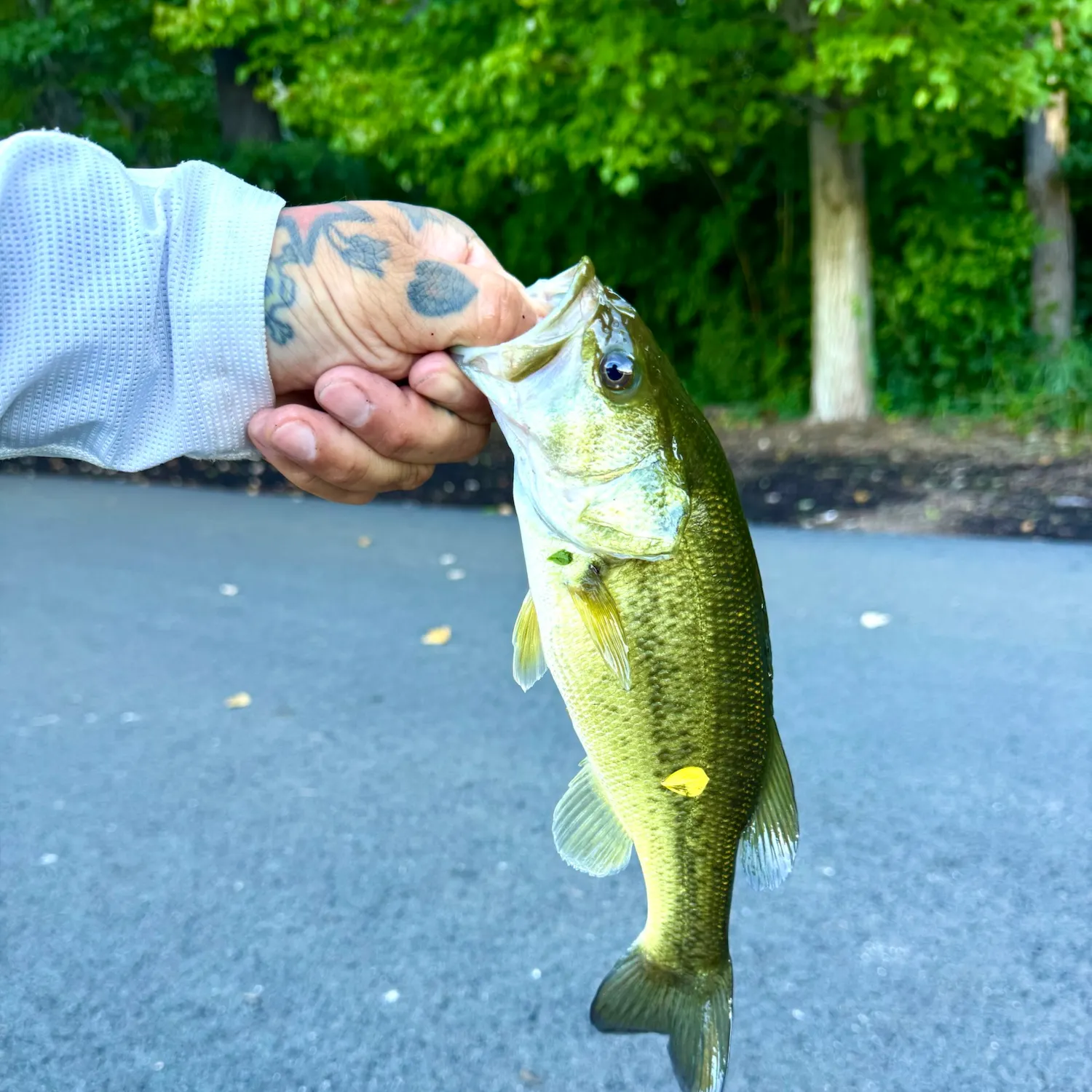 catch