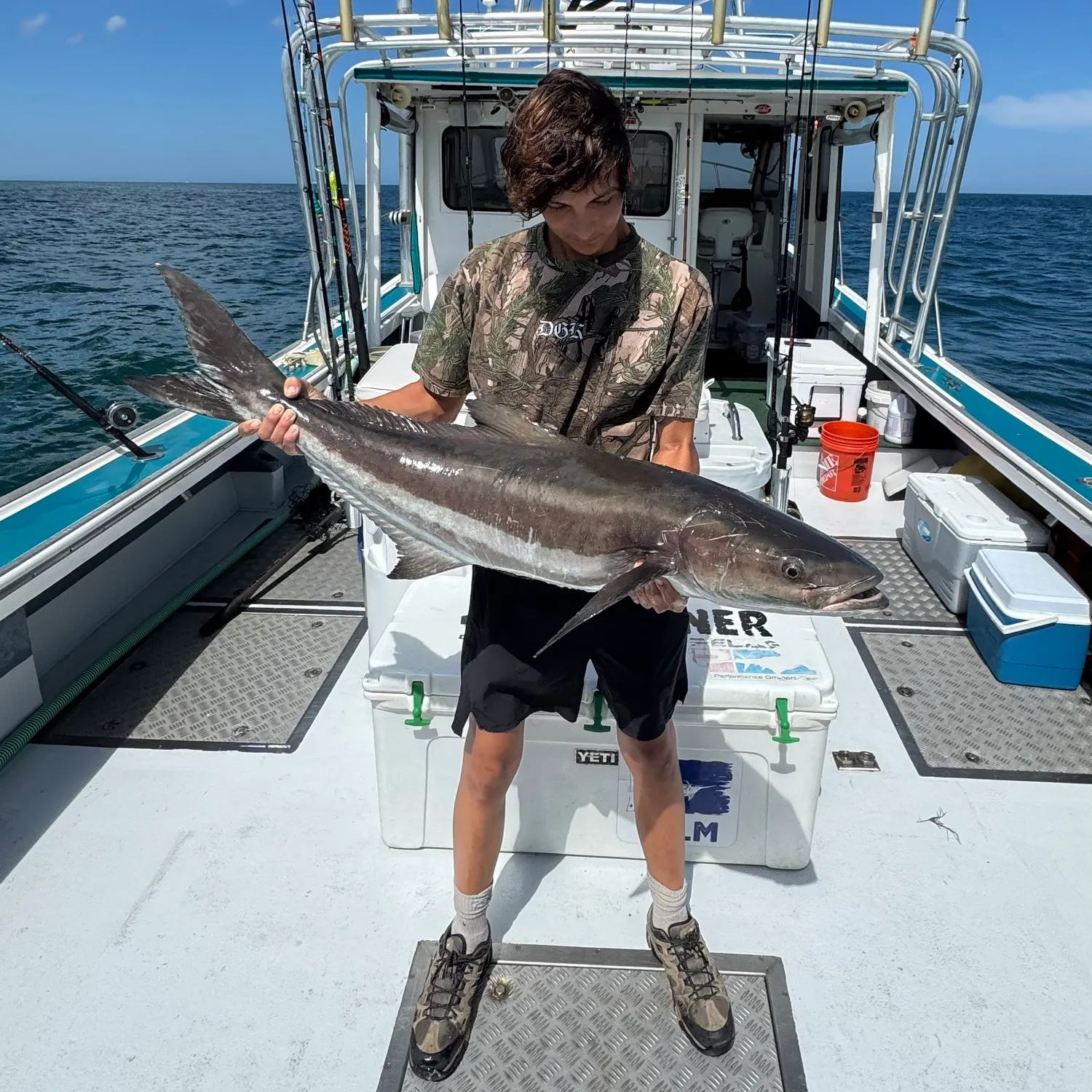 The most recent Cobia catches on Fishbrain