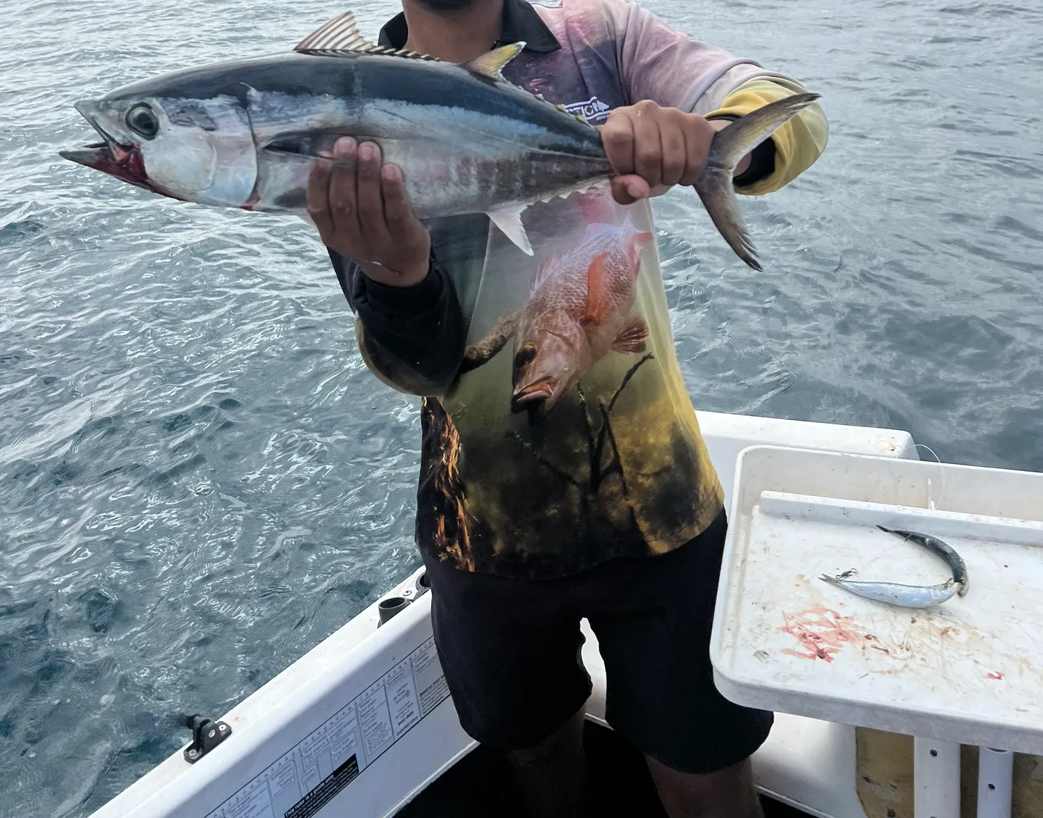 Southern bluefin tuna