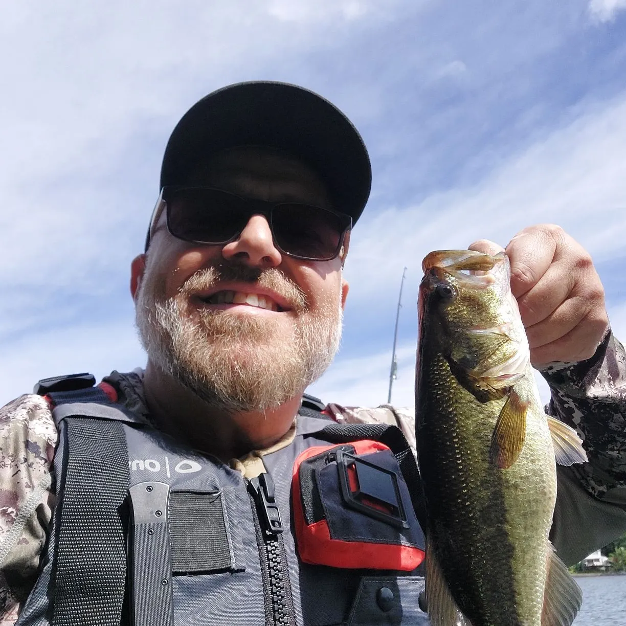 Largemouth bass caught on Fishbrain
