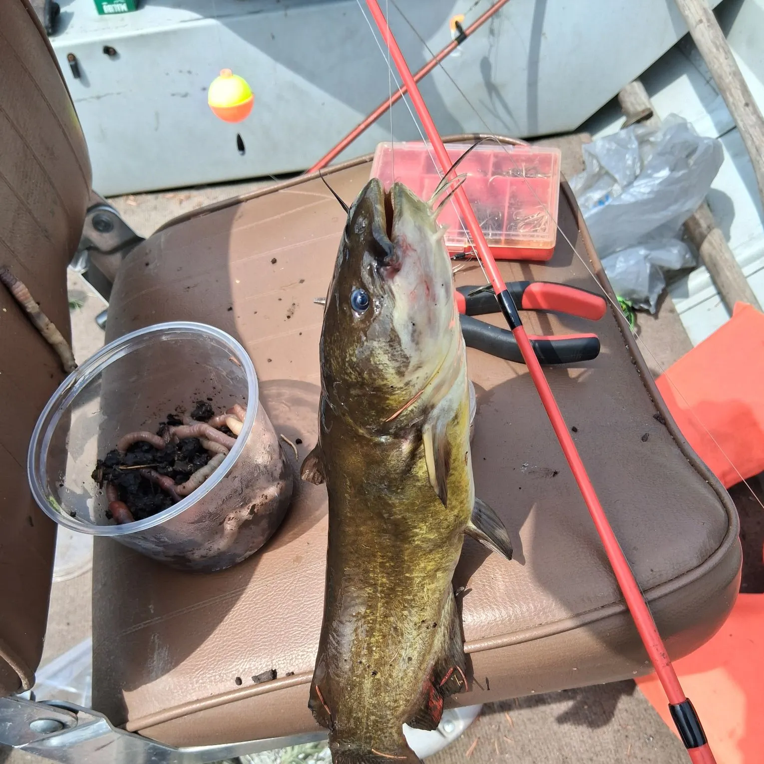 catch