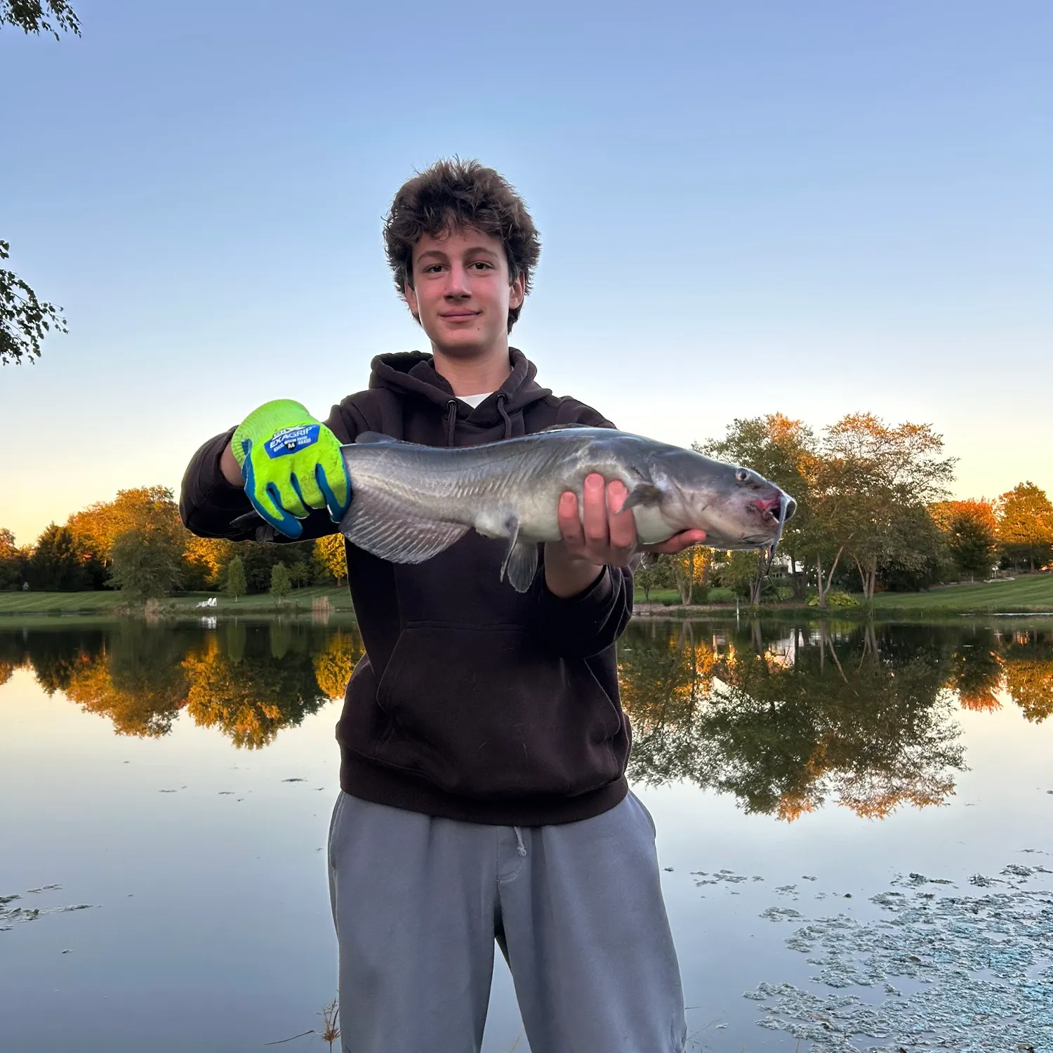 Channel catfish caught on Fishbrain