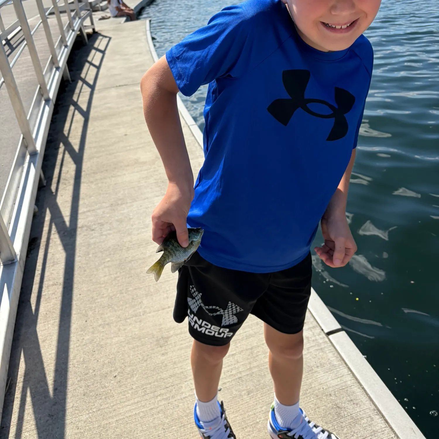 Bluegill caught on Fishbrain