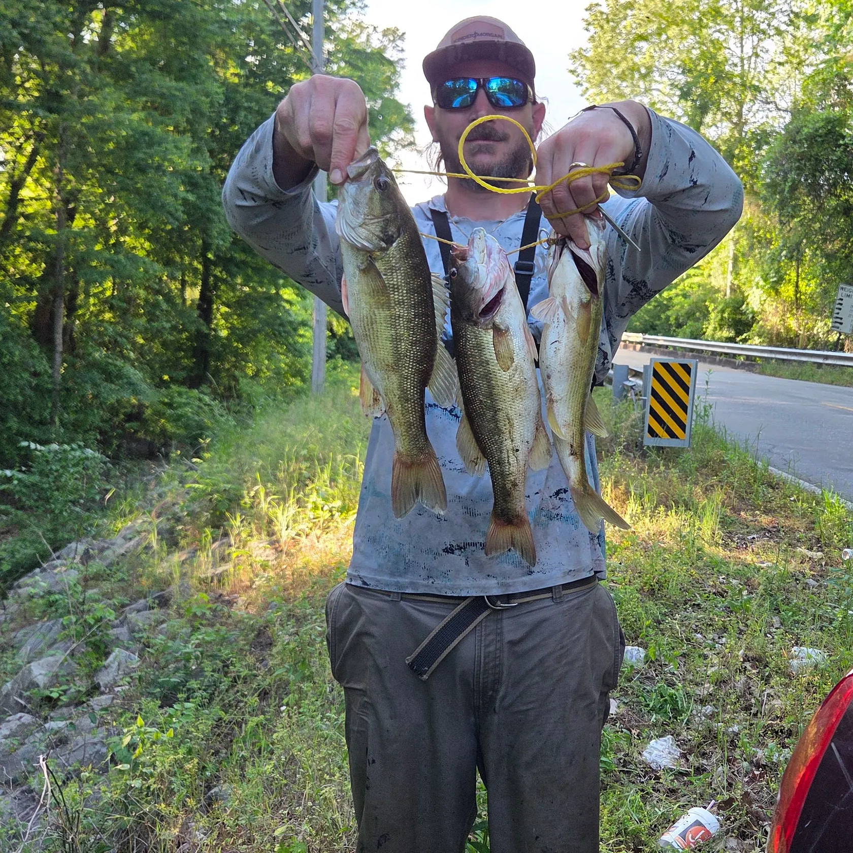 The most recent Alabama bass catches on Fishbrain