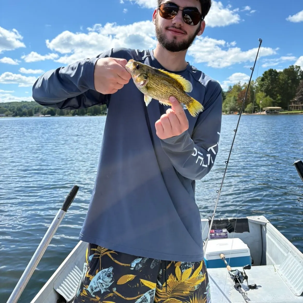 The most recent Longcomb sawfish catches on Fishbrain