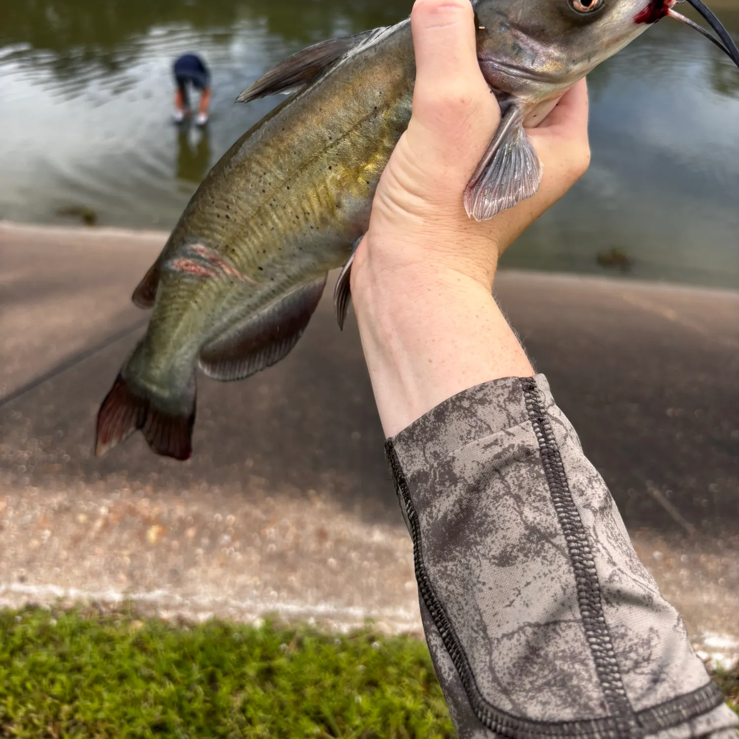 catch