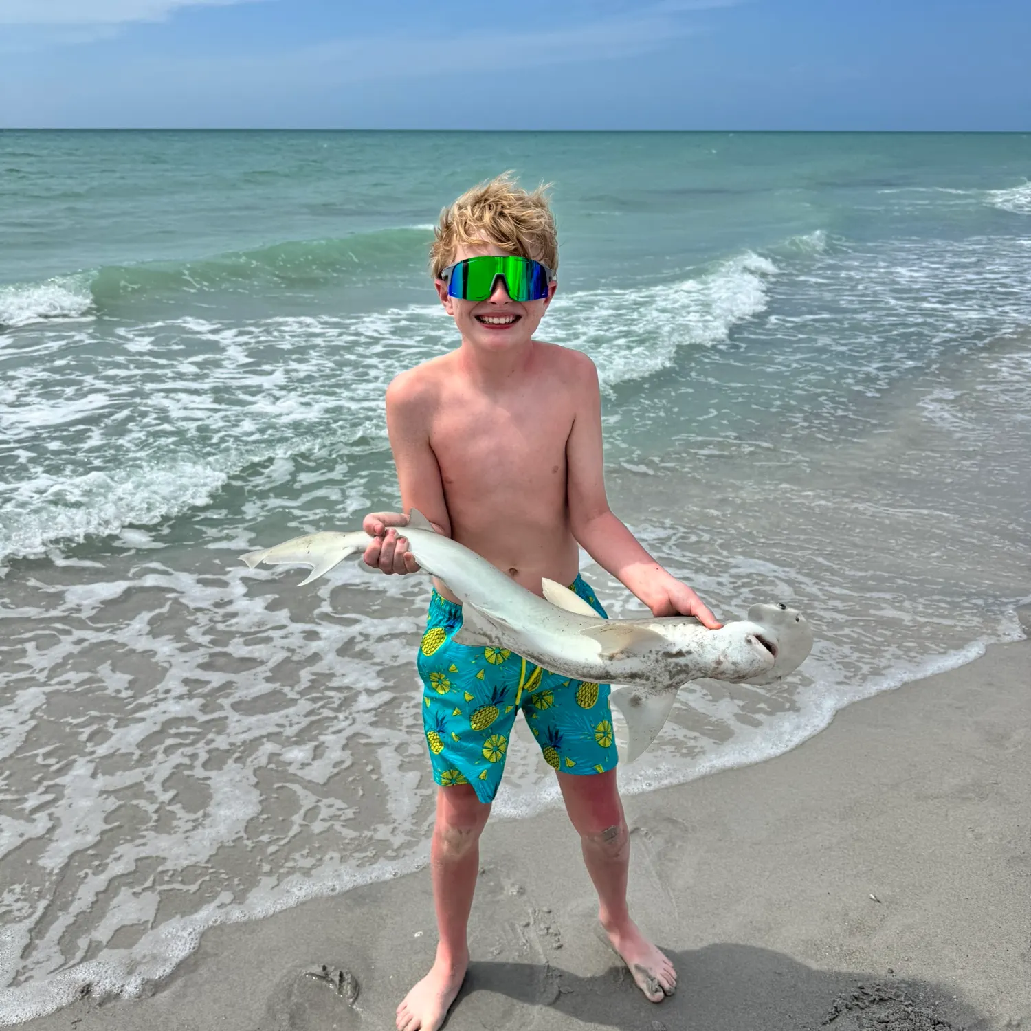 The most recent Bonnethead shark catches on Fishbrain
