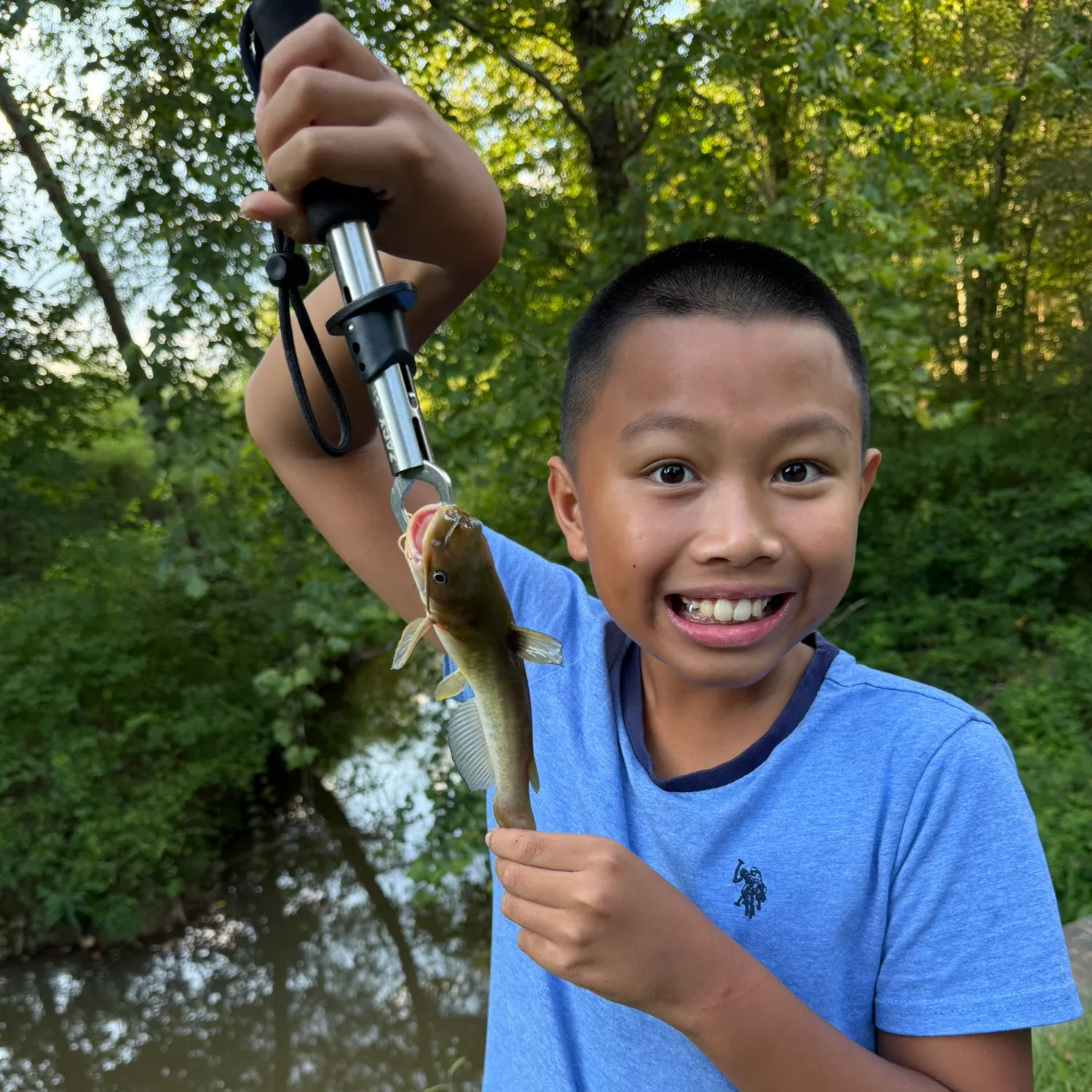 Brown bullhead caught on Fishbrain