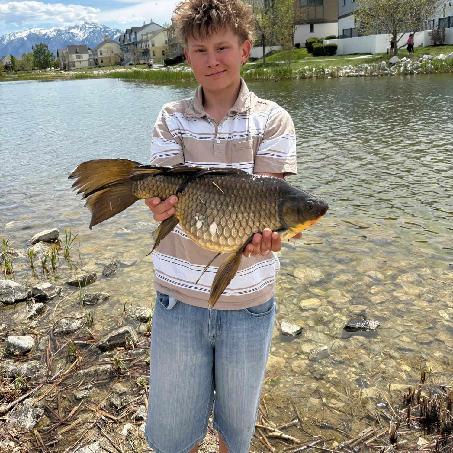 The most recent Koi x common carp catches on Fishbrain