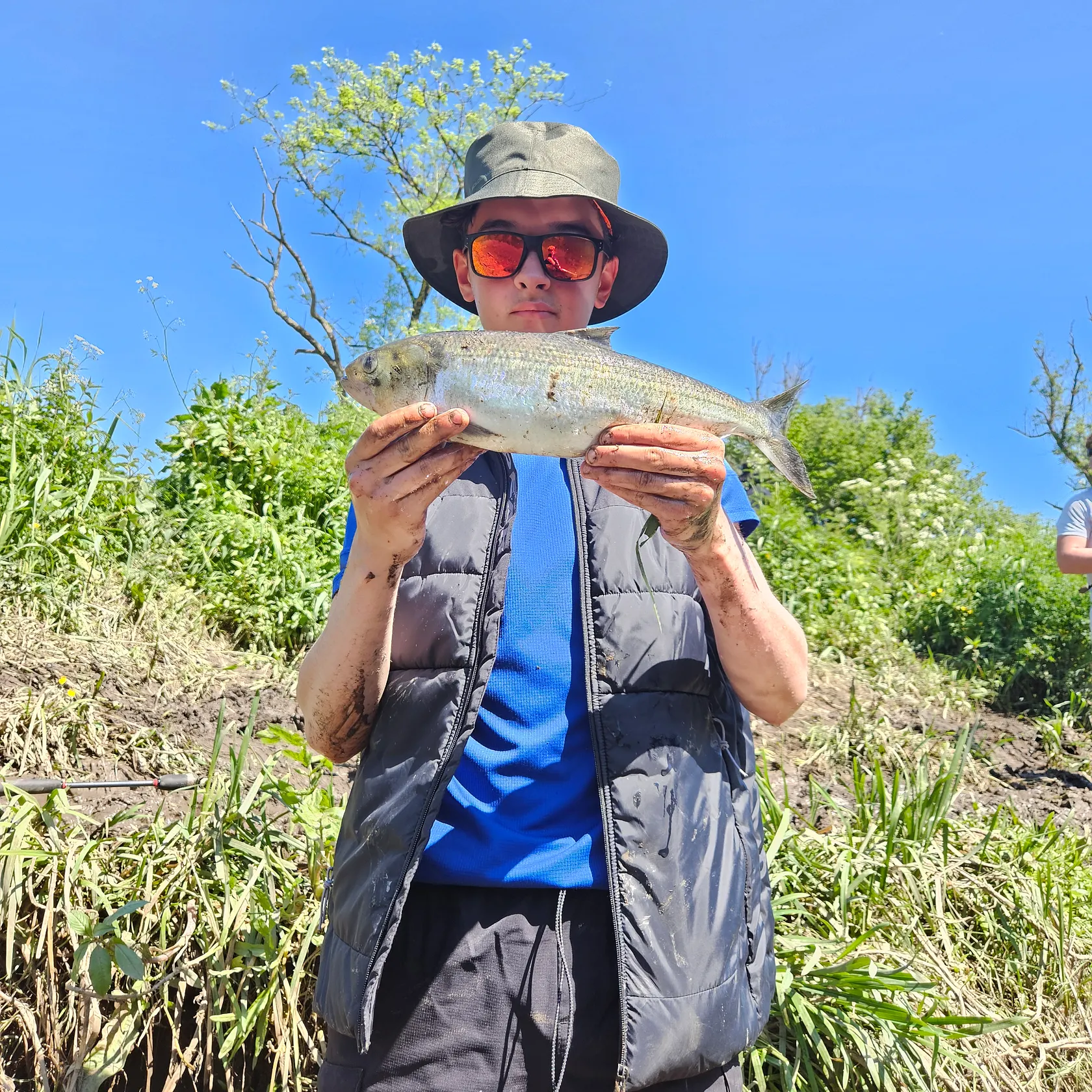 The most recent Twait shad catches on Fishbrain