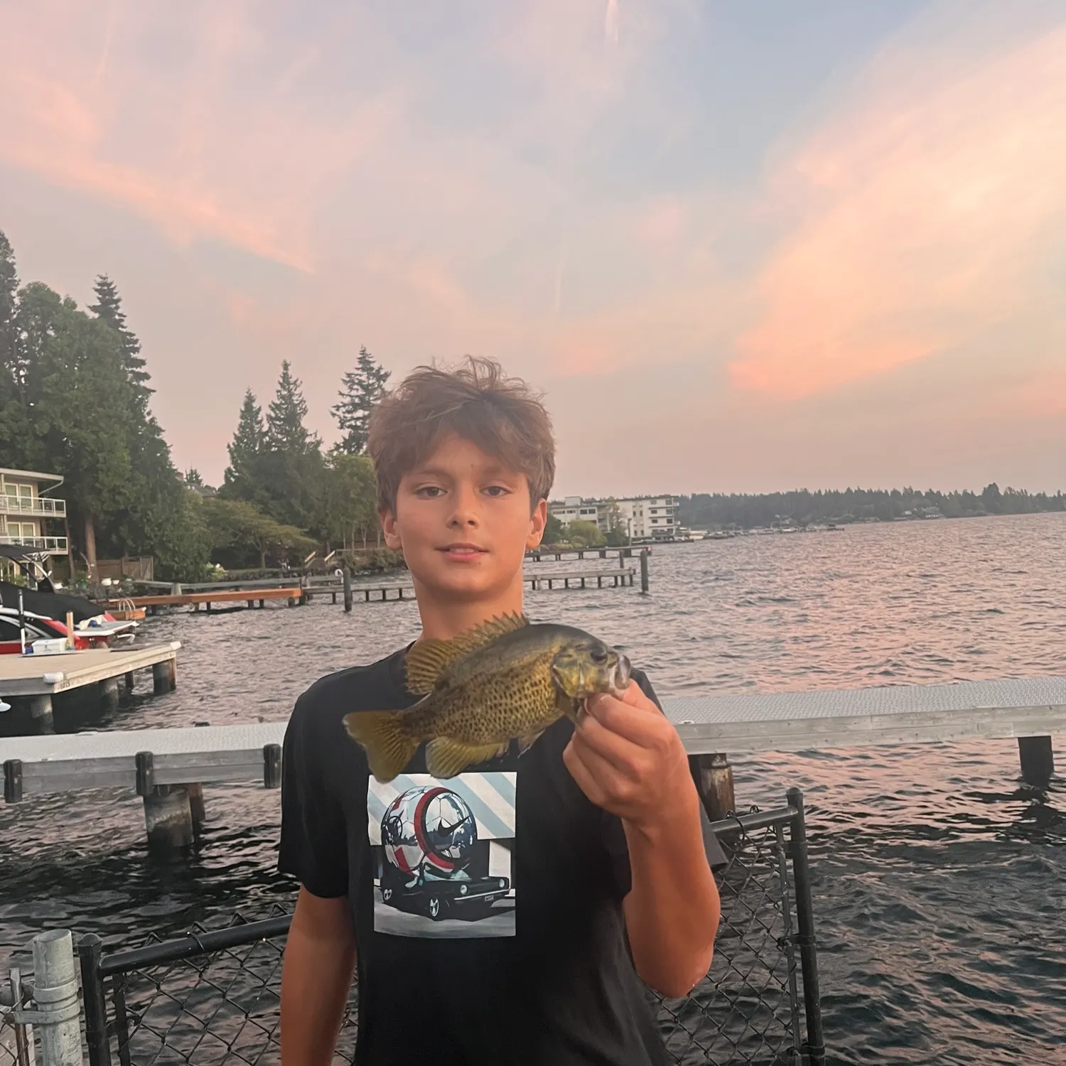 Rock bass caught on Fishbrain