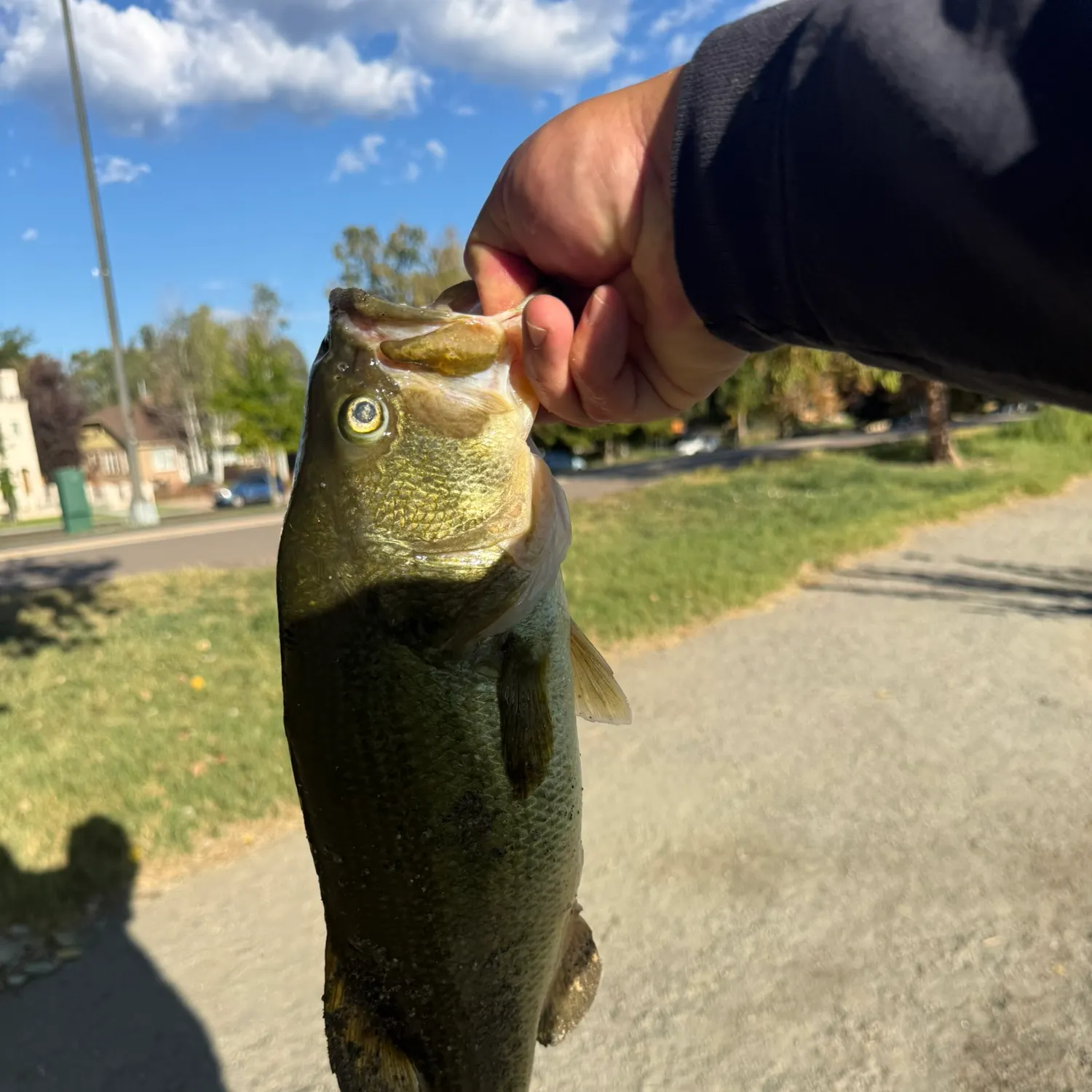 catch