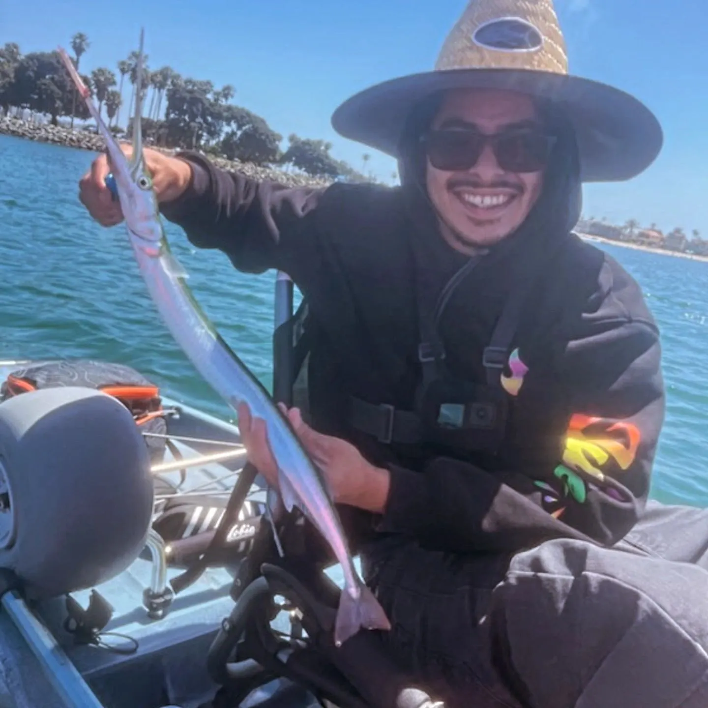 The most recent Flat needlefish catches on Fishbrain