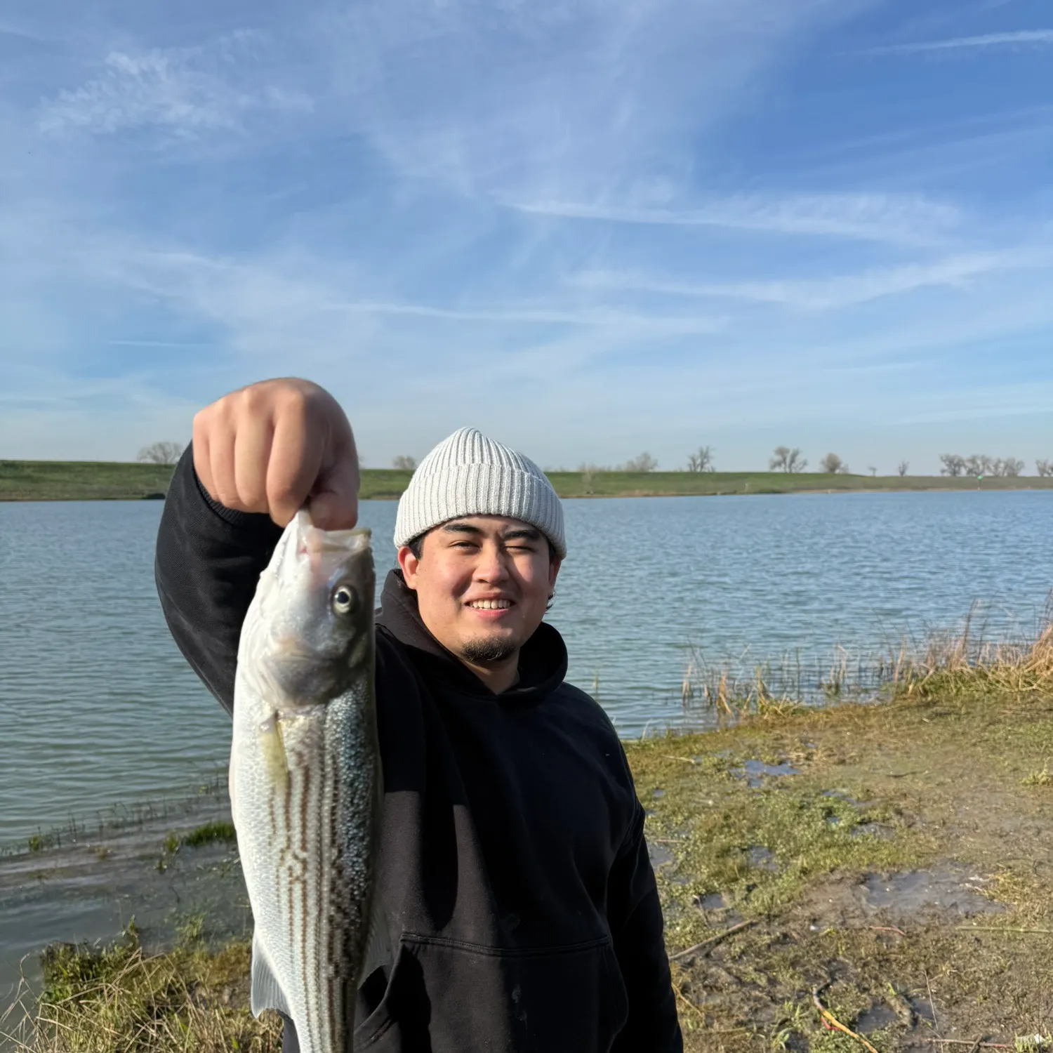 The most recent Striped bass catches on Fishbrain