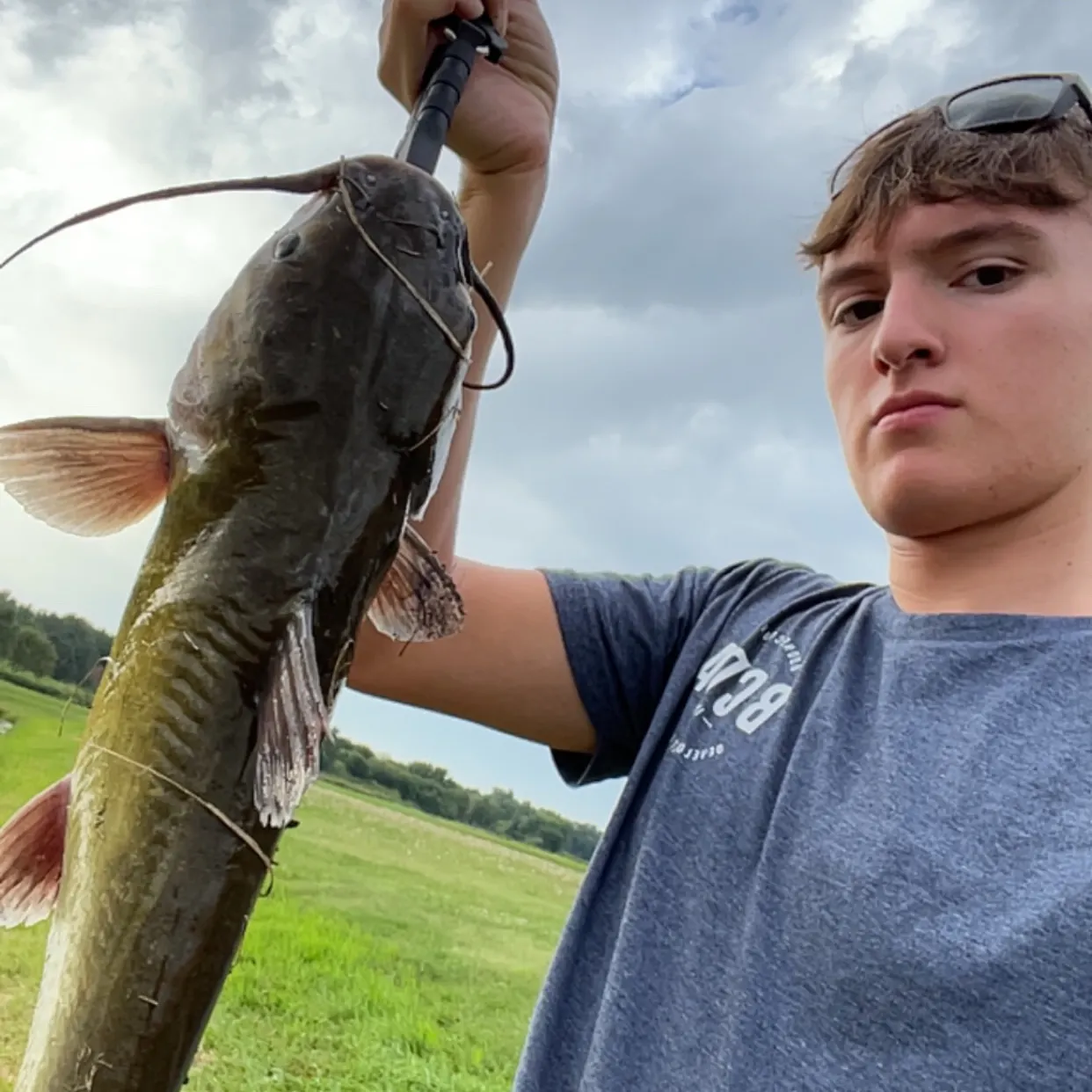 Channel catfish caught on Fishbrain