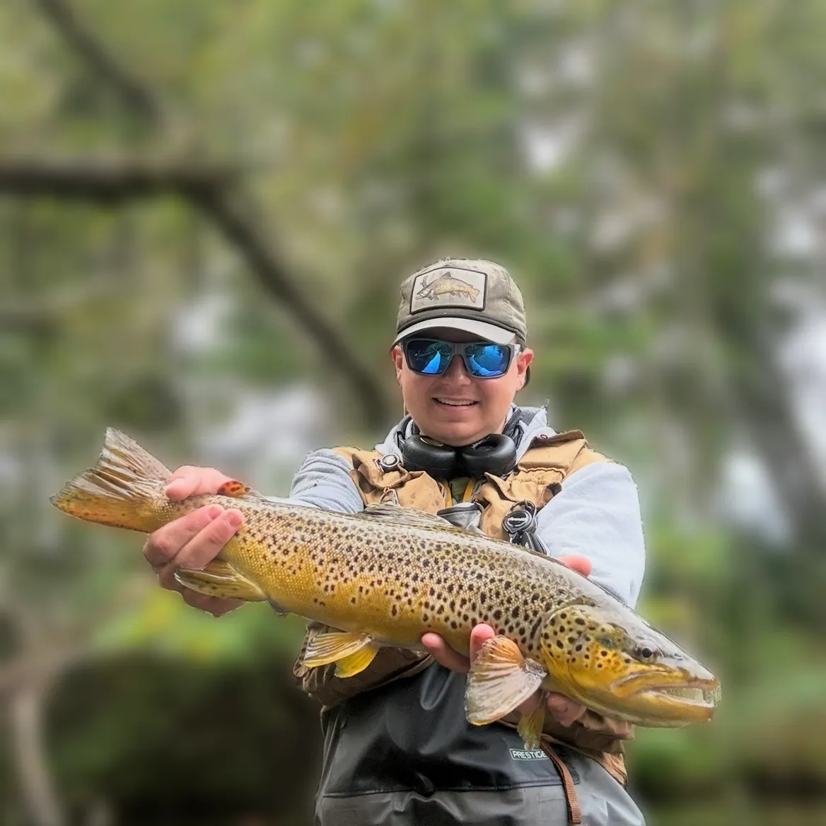 Brown trout caught on Fishbrain