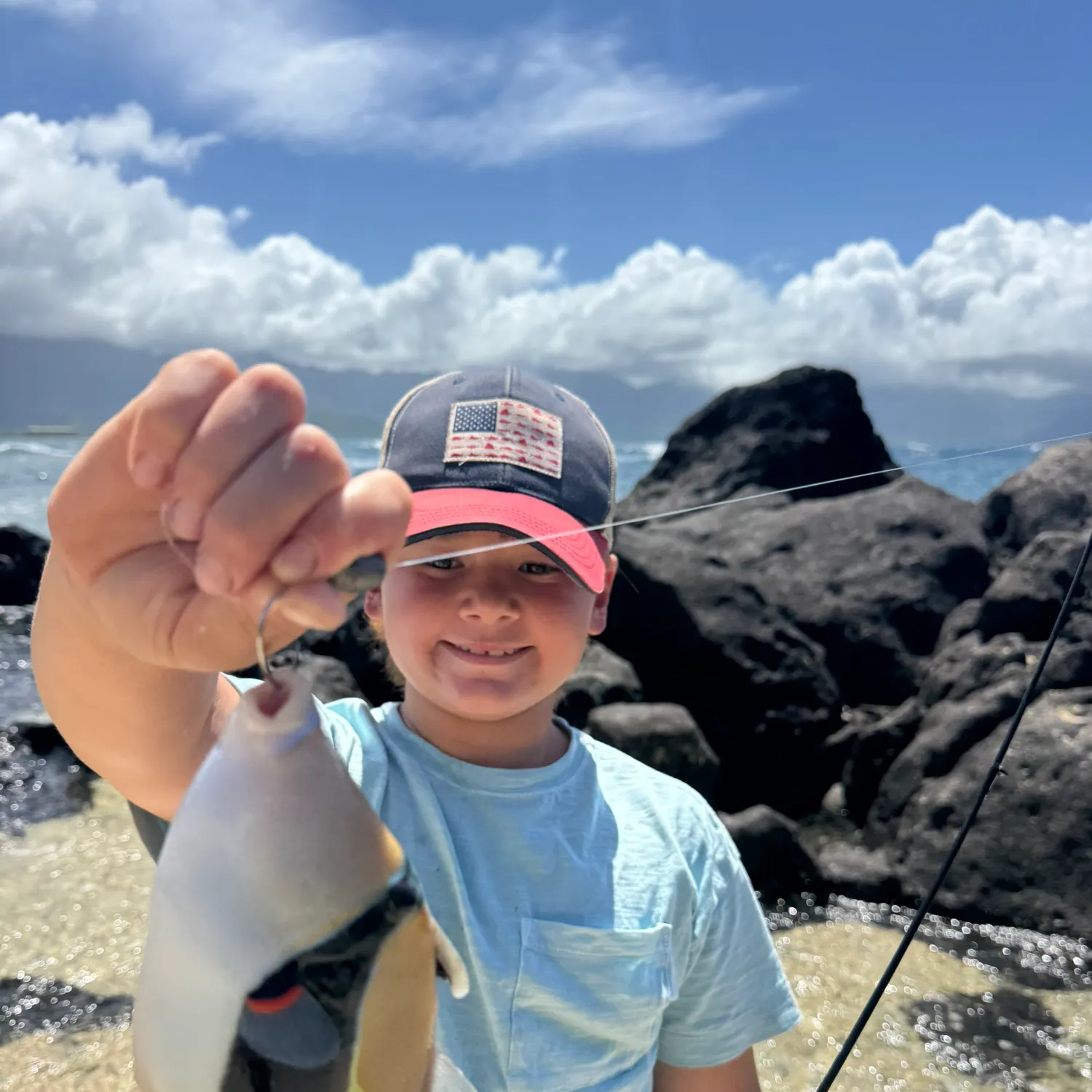The most popular recent Wedge-tail triggerfish catch on Fishbrain