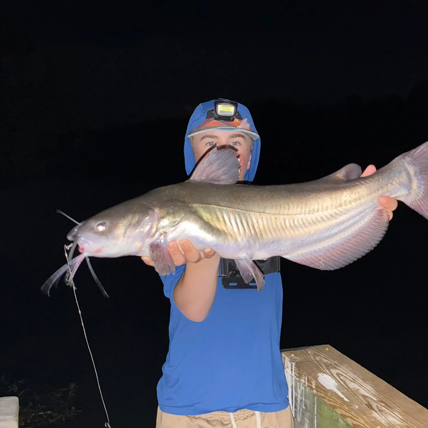 Channel catfish caught on Fishbrain
