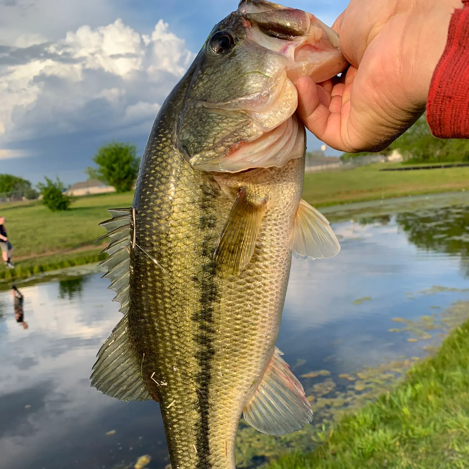 angler catch
