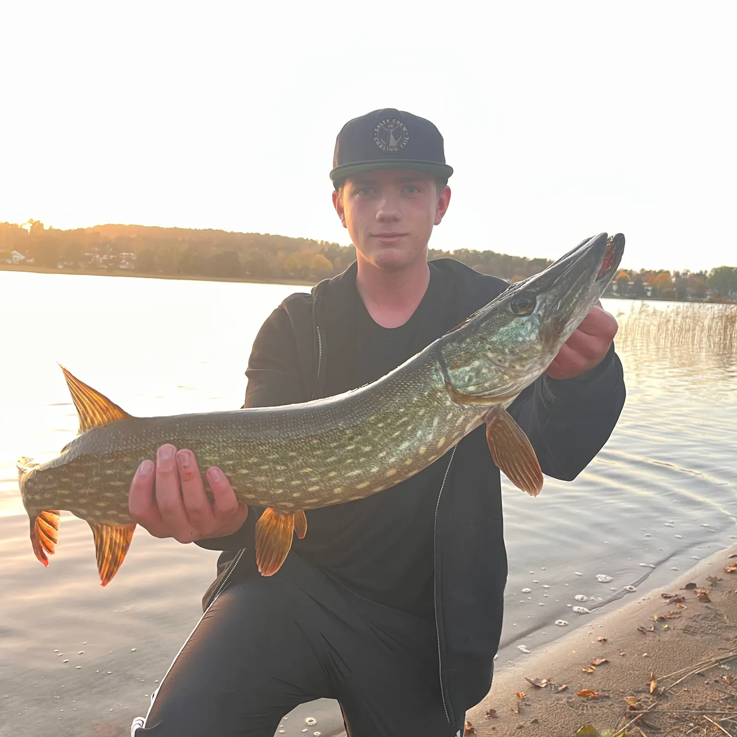 Northern pike caught on Fishbrain