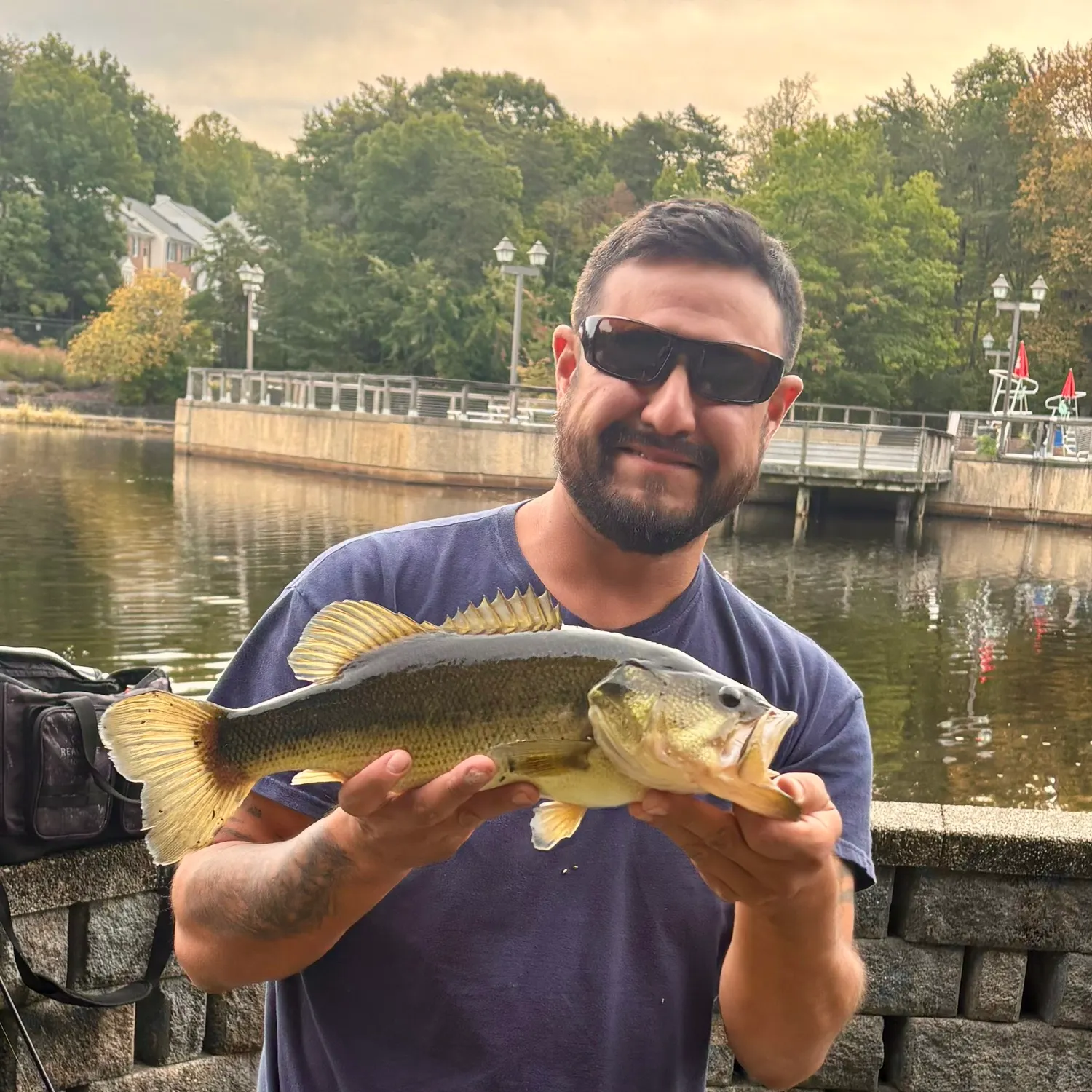Largemouth bass caught on Fishbrain