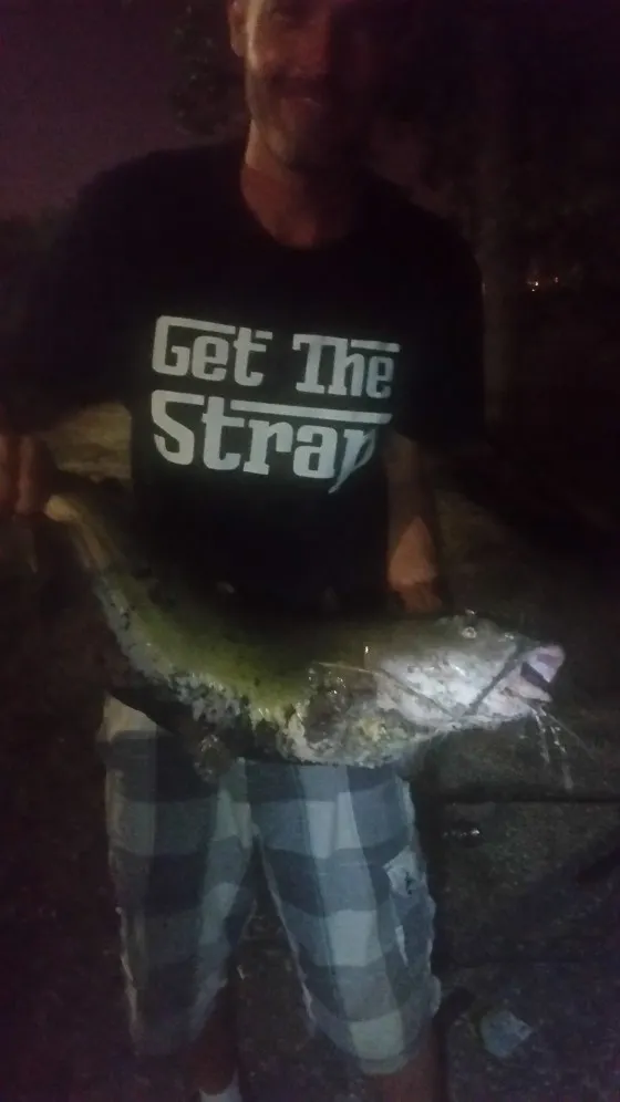 Post image from SilentRob