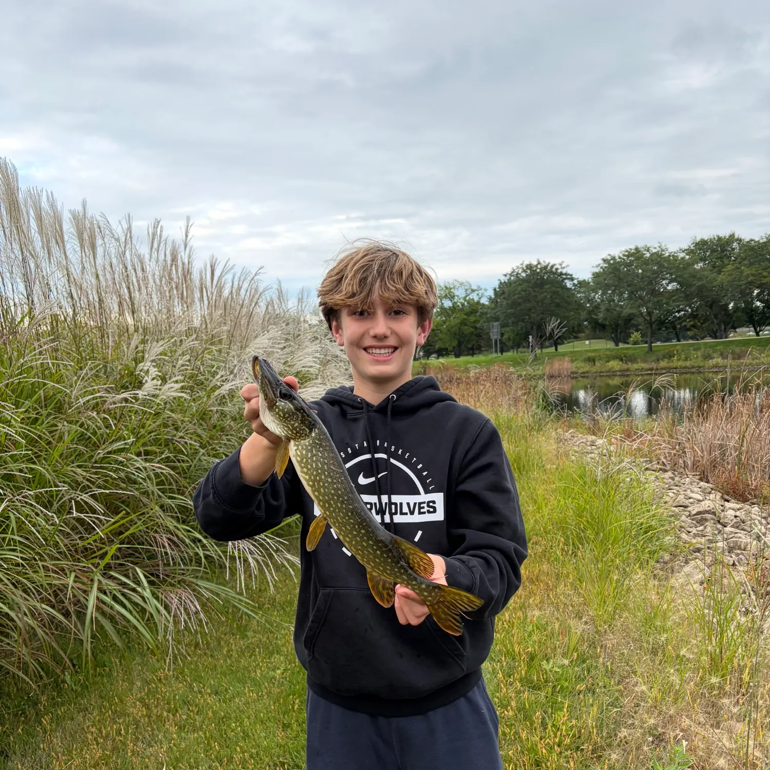 Northern pike caught on Fishbrain