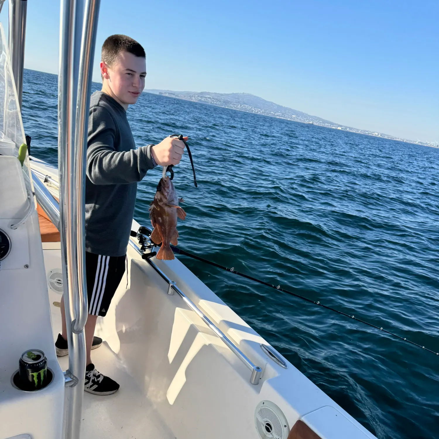 The most recent Brown rockfish catches on Fishbrain