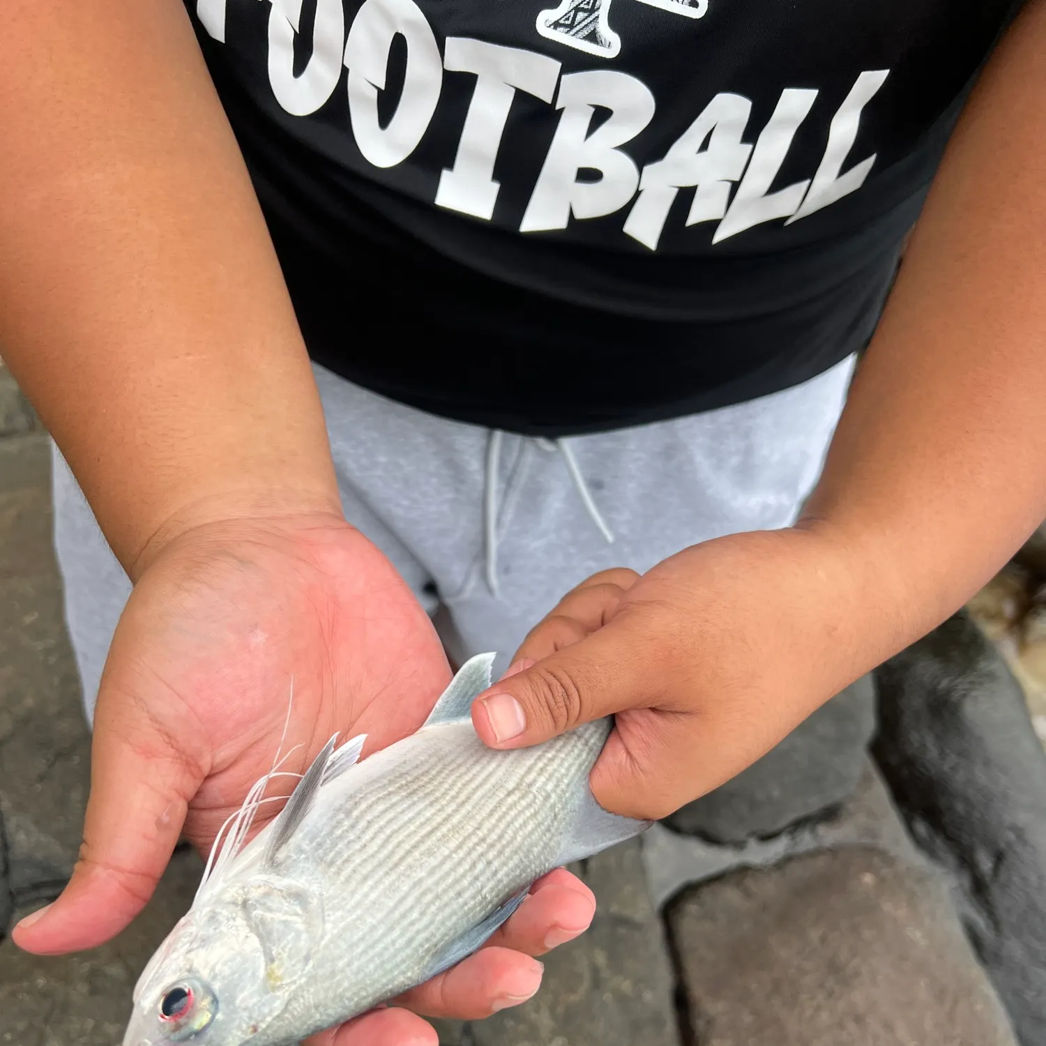 The most recent Sixfinger threadfin catches on Fishbrain
