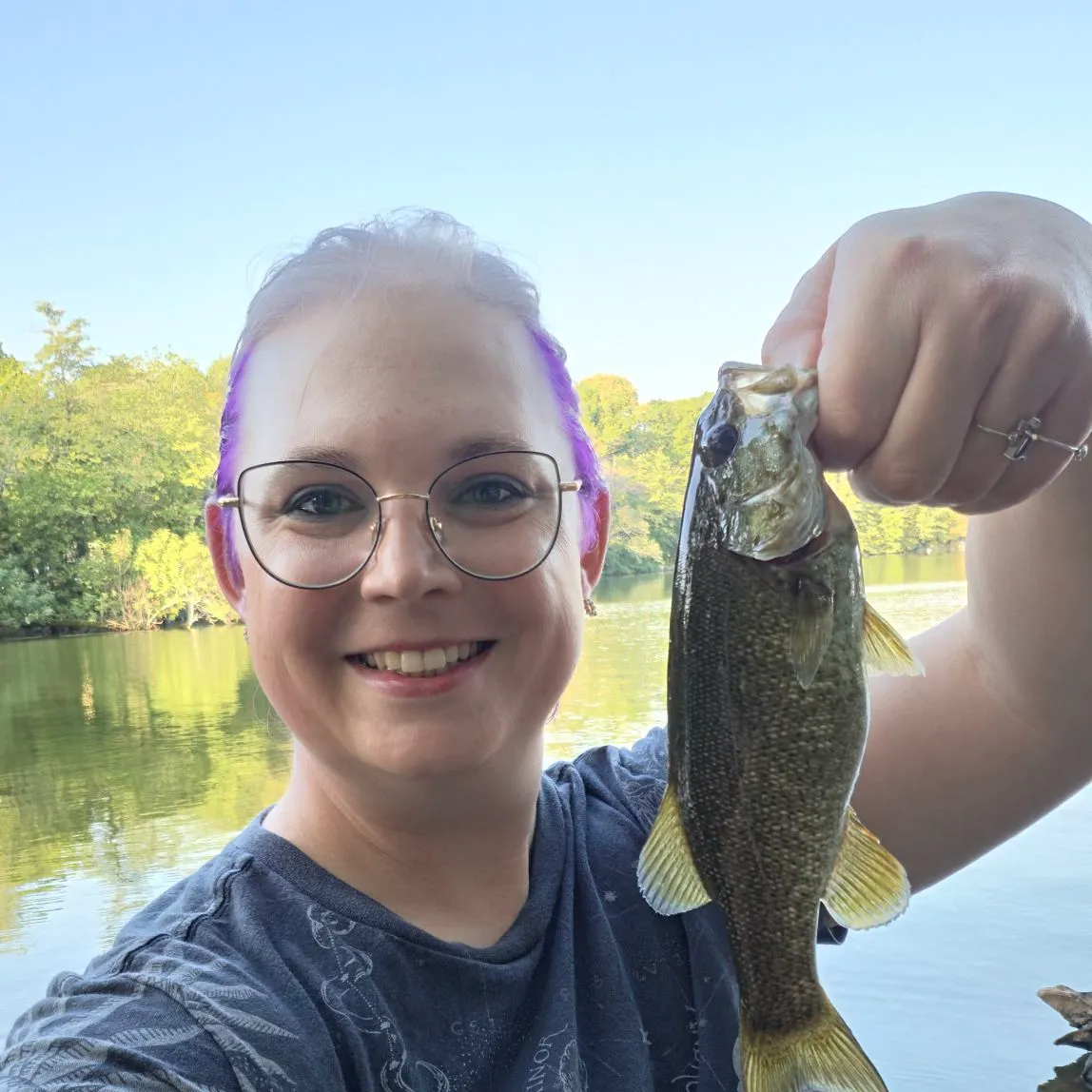Smallmouth bass caught on Fishbrain