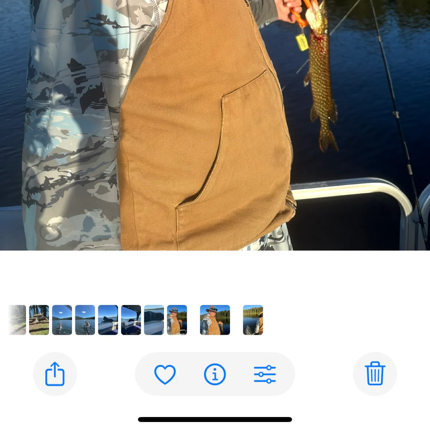 recently logged catches