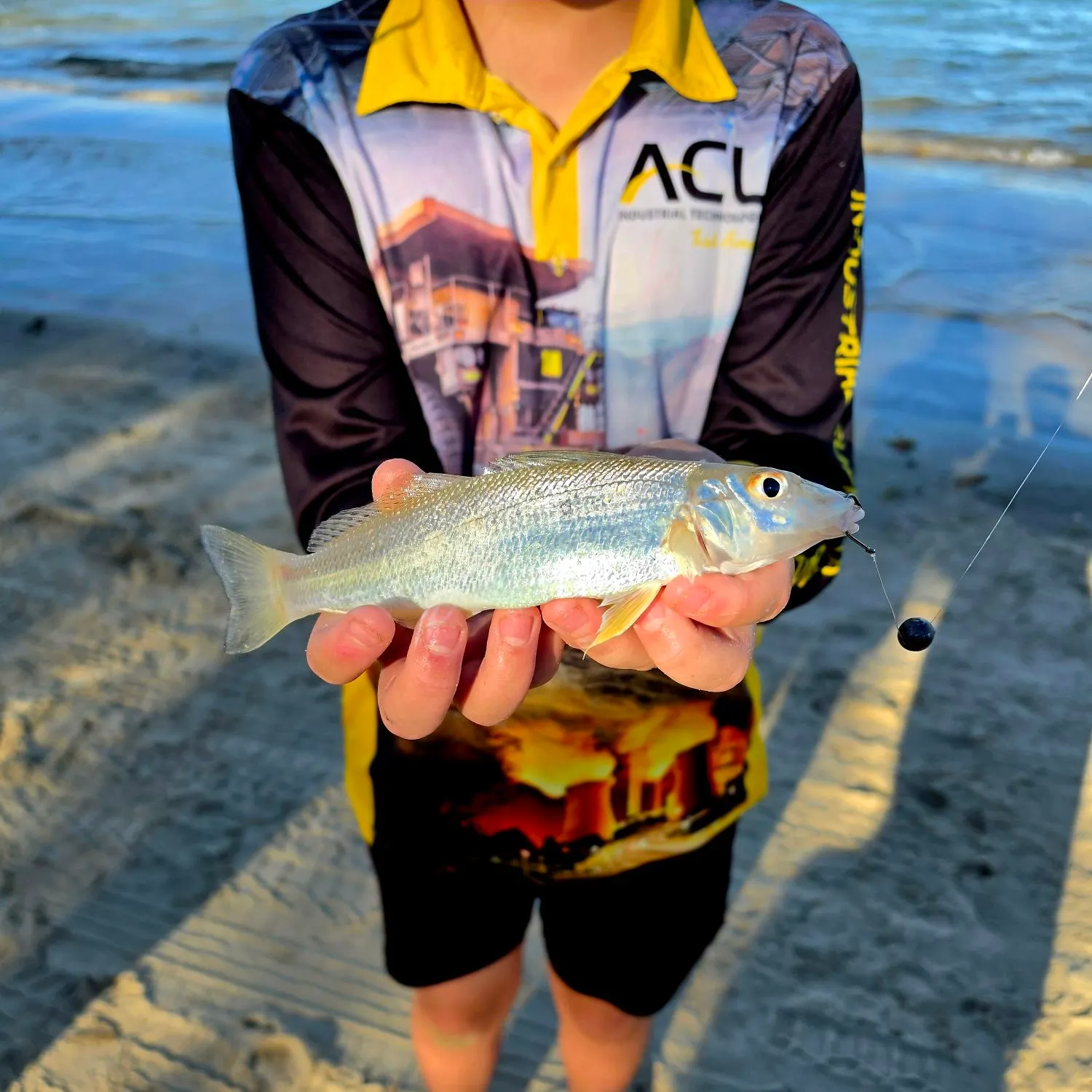 The most recent Sand sillago catches on Fishbrain